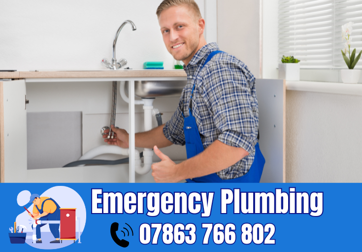  plumber Fernhead