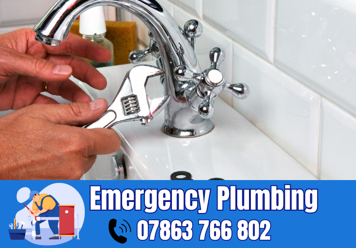  plumber Birchwood